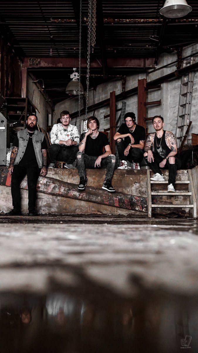 The Dollars tweet media