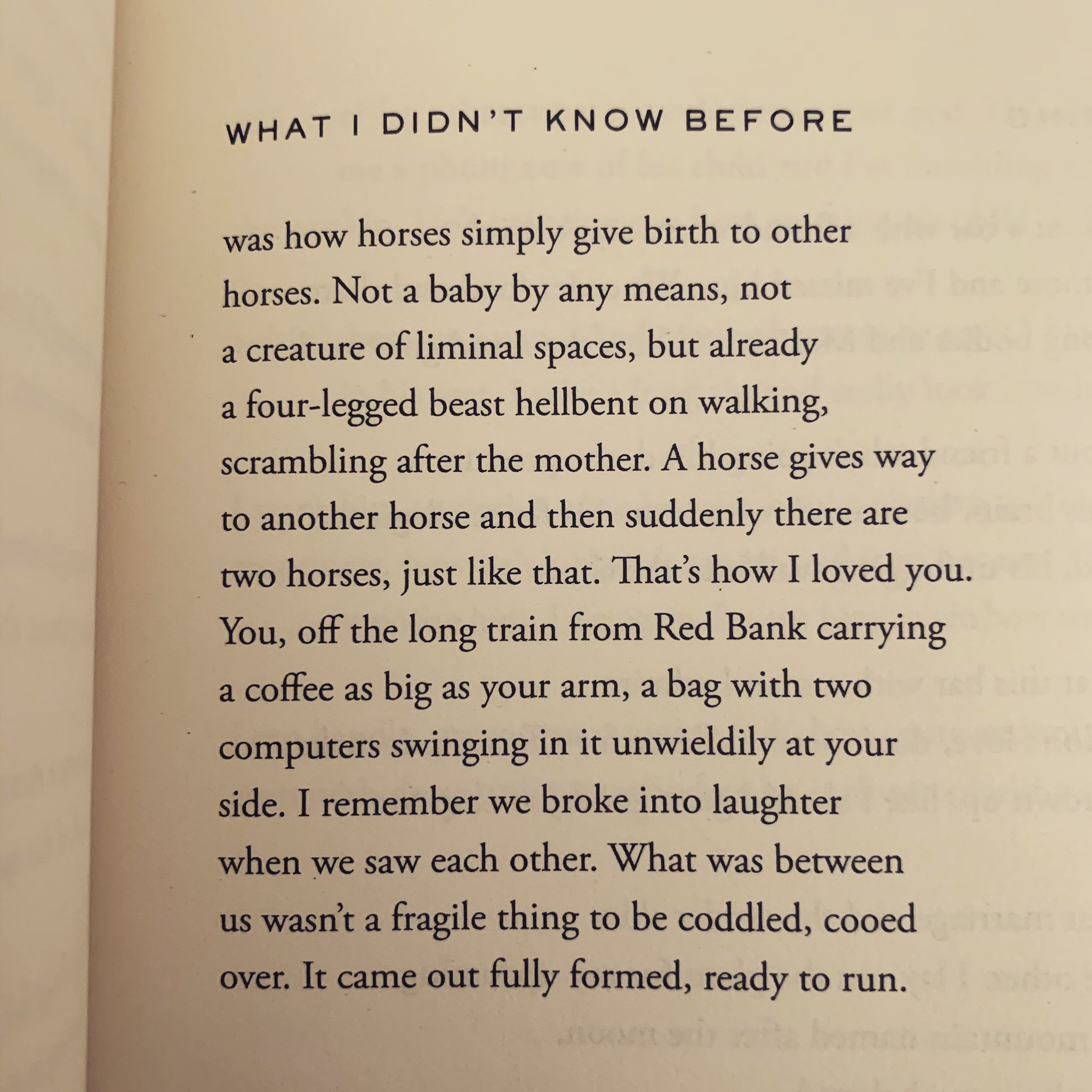 兔兒神 What I Didn T Know Before By Ada Limon One Of My Favorite Favorite Love Poems With Gorgeous Leaps Only Limon Can Make So Excited To Start Teaching The Carrying At