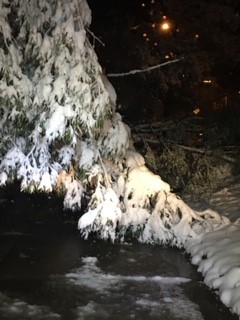 City of Boulder tweet media