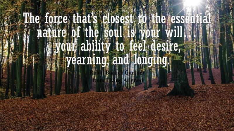 #LivingAligned Will--Nature of the Soul #selfhelp #motivationalquotes: "The force that's closest to the essential nature of the soul is your will... your ability to feel desire, yearning and longing." excerpted from Living Aligned by Rabbi Baruch Gart... tinyurl.com/yxa28q29