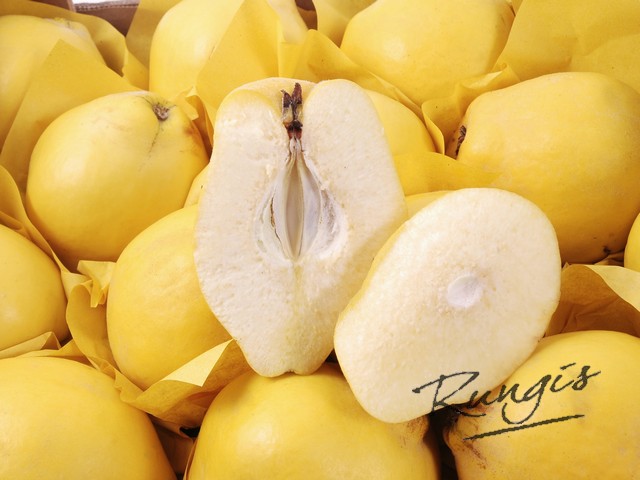 Nieuwe oogst kweeperen. Rauw zijn deze vruchten hard en eigenlijk niet eetbaar. Maar eenmaal verwerkt tot bijvoorbeeld compote of verwarmd in de oven is deze vrucht heerlijk aromatisch met een frisse smaak. De #VijfSeizoenen van Rungis!