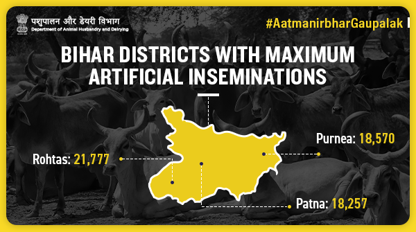 Dept of Animal Husbandry & Dairying, Min of FAH&D в Twitter: „With over 58k  artificial inseminations done in #Rohtas, #Purnea, & #Patna under the  Nationwide Artificial Insemination Programme, efforts to strengthen #Bihar's  #