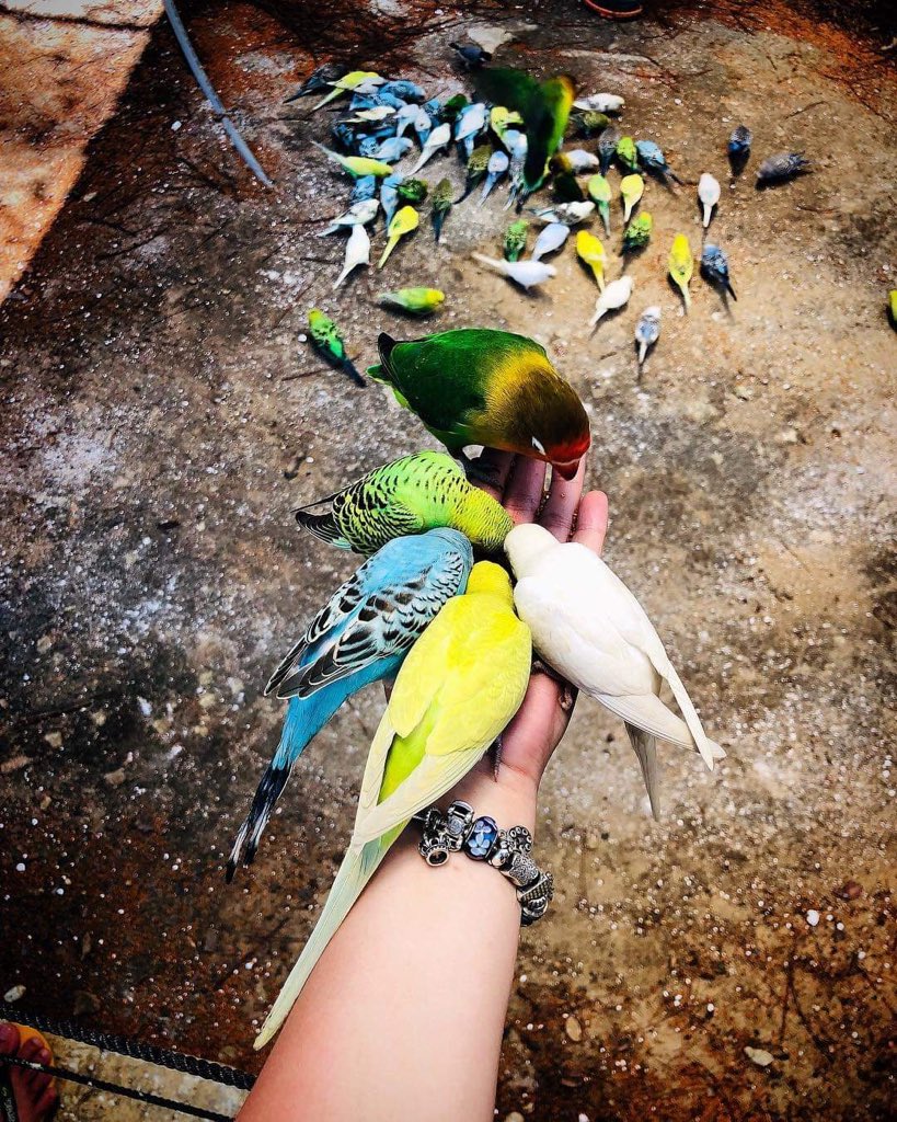 As much as $36 trillion dollars of dark money is stashed in offshore black holes. $1 trillion dollars a year exits the world’s developing countries in laundered money & tax avoidance.