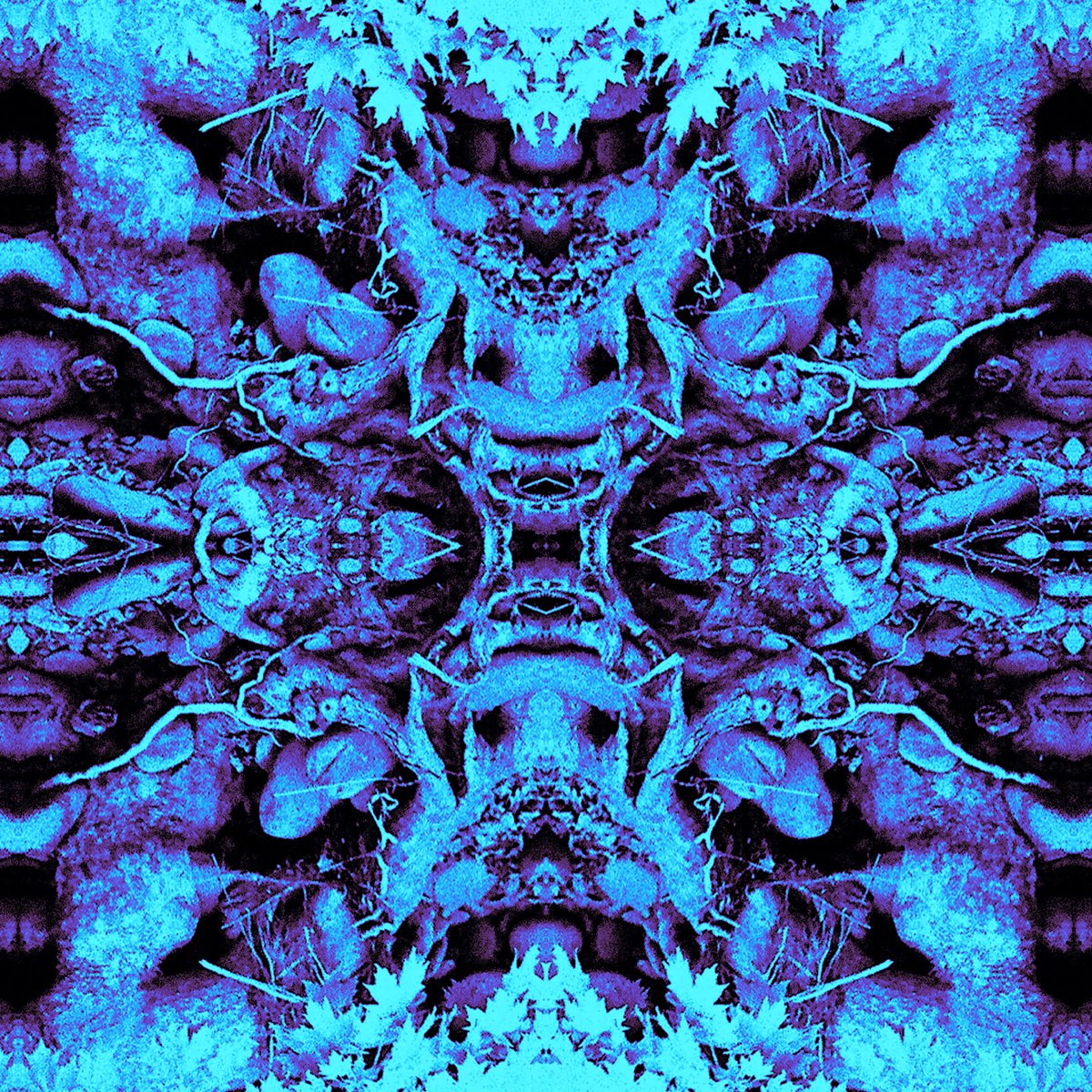 nealcasal's tweet photo. Neal's renditions of @GratefulDead's "Ship of Fools" &amp; "Mountains of the Moon" with new parts added by Circles Around The Sun are available for D/L &amp; streaming wherever you listen to music. All proceeds benefit the Neal Casal Music Foundation. Listen here: https://t.co/v6anivsf1z https://t.co/Anst4De5BG