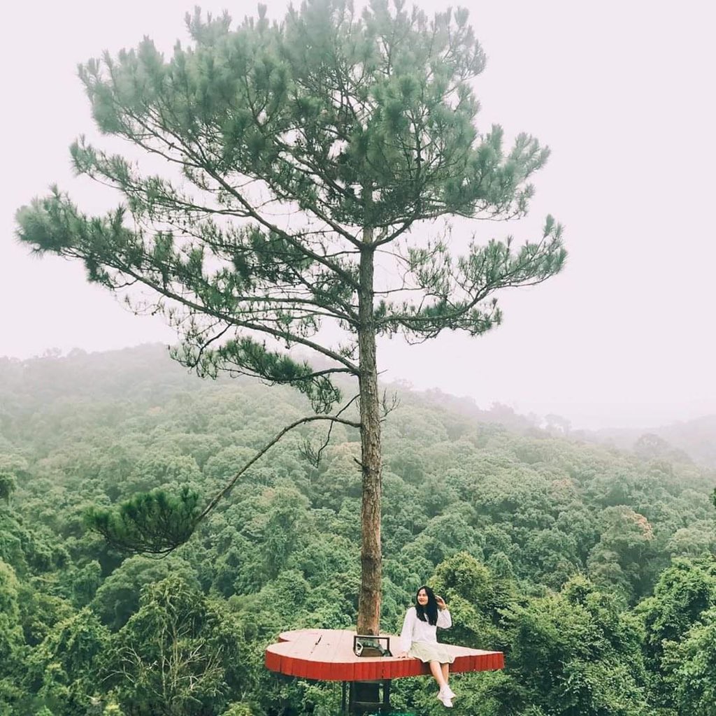 Monopolies smother the economy. The roster of Fortune 500 companies reads like a rap sheet of mass crimes. It’s gangsters & warlords making feudalism great again.Meanwhile, Moneyland has emerged as the “dark twin of globalization.