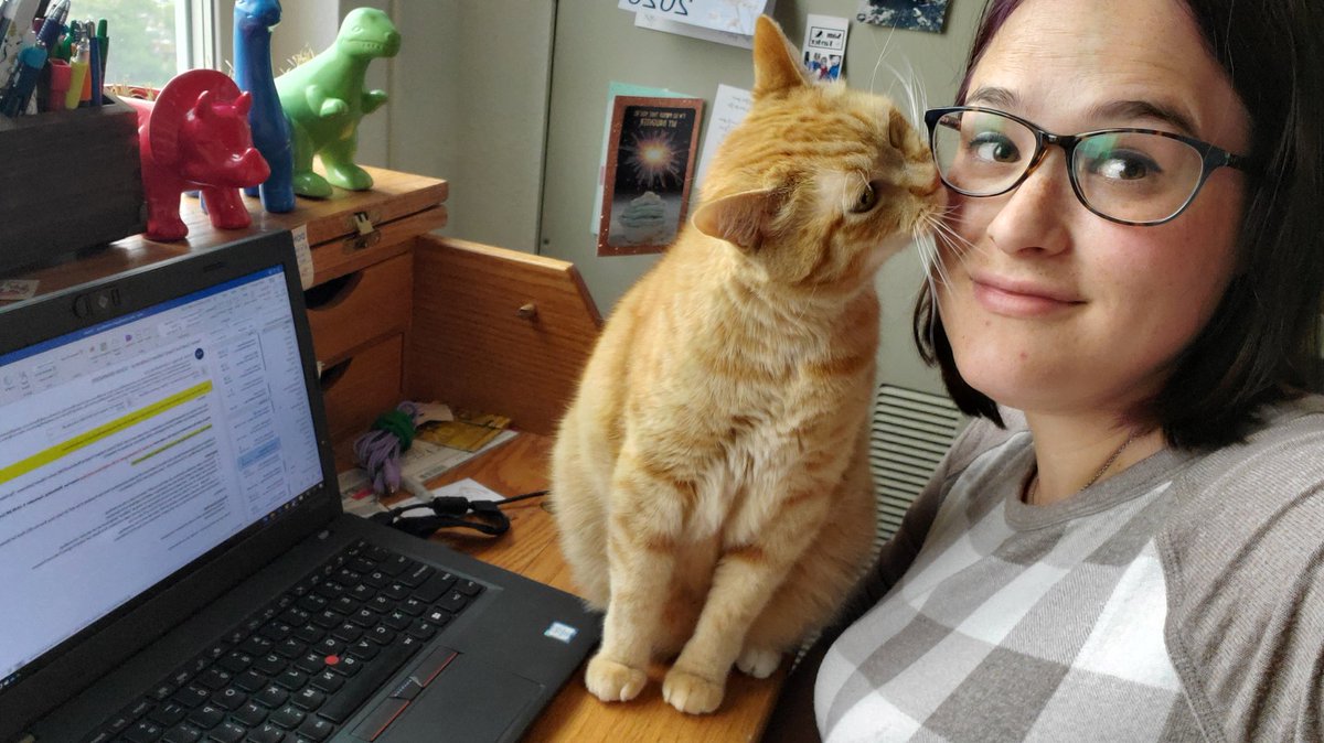 AllekScheele's tweet photo. Odin is ready for the #PHM #fellowsconference! https://t.co/5UNJBzGc7f