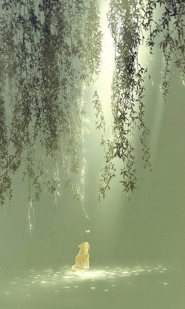 On the other hand, state socialism has equally failed. The ground truth is that there’s no precedent or grand model for a next economy – one that’s grounded in equity & the limits & principles of nature.“What’s the economy for?”