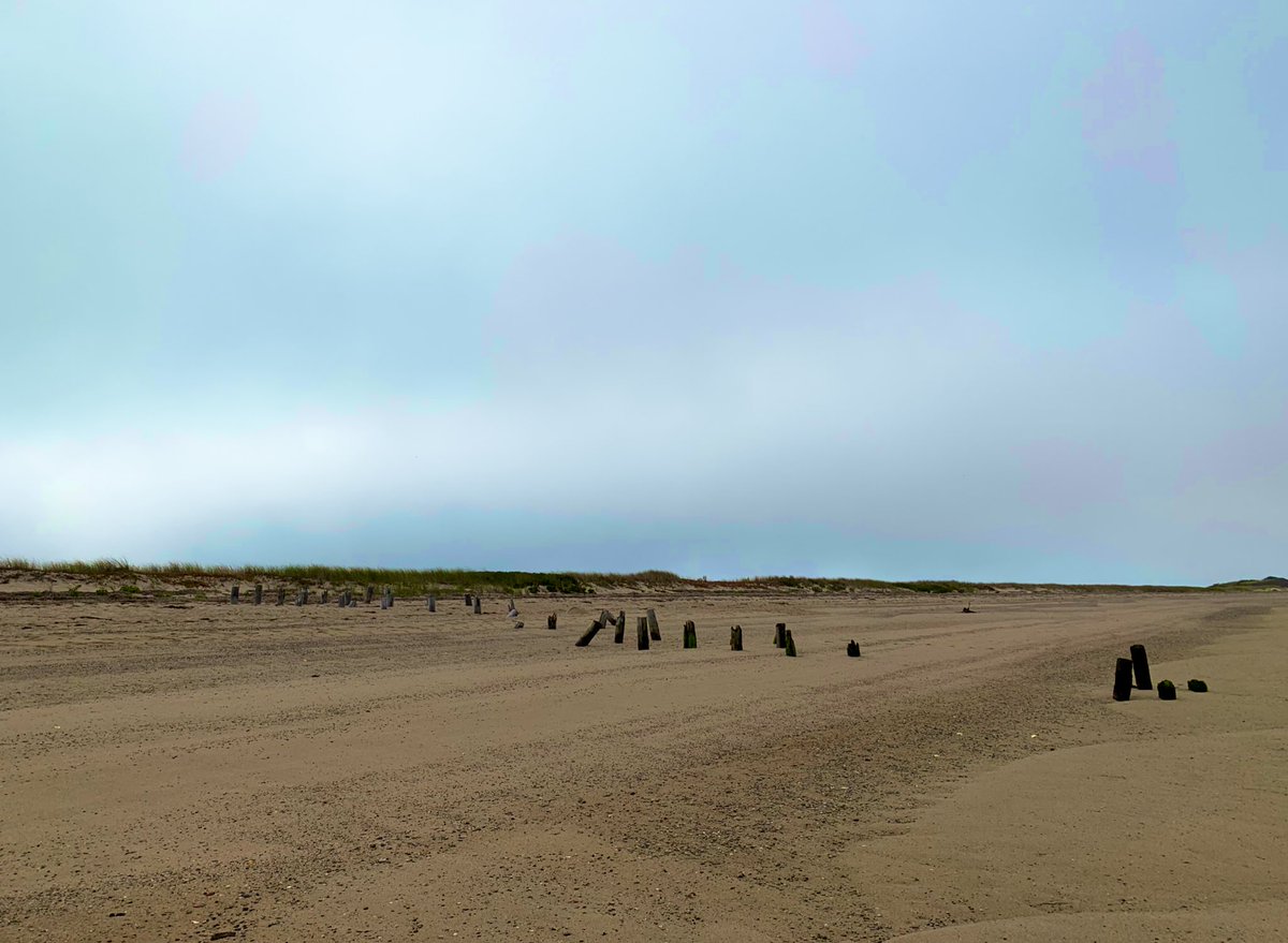 SashaEats's tweet photo. Long Point Beach 😎
#CapeCod #SashaInPtown #travel #CapeCodNPS #VisitMA #Ptown #TravelAgain https://t.co/f620GHL7St