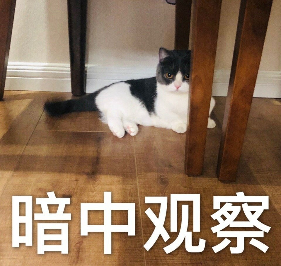 xiaozhan as jianguo: a mini thread