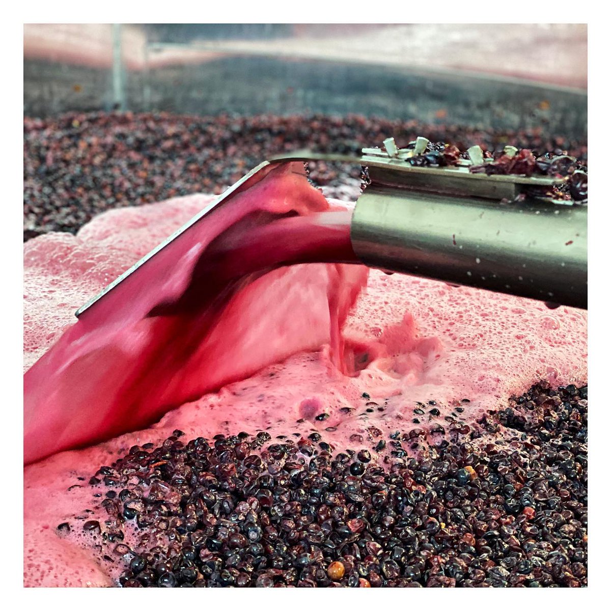 ChpBeerens's tweet photo. Remontage du rouge pour l’élaboration de notre Champagne Rosé, il ne vous manque que l’odeur pour succomber !! 💕⁣
⁣
#champagne #champagnebeerens #champagneterroirsect #harvest2020 #vendanges2020 #redwine https://t.co/4MVEI7wDjo