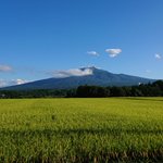 ツイートに含まれる画像