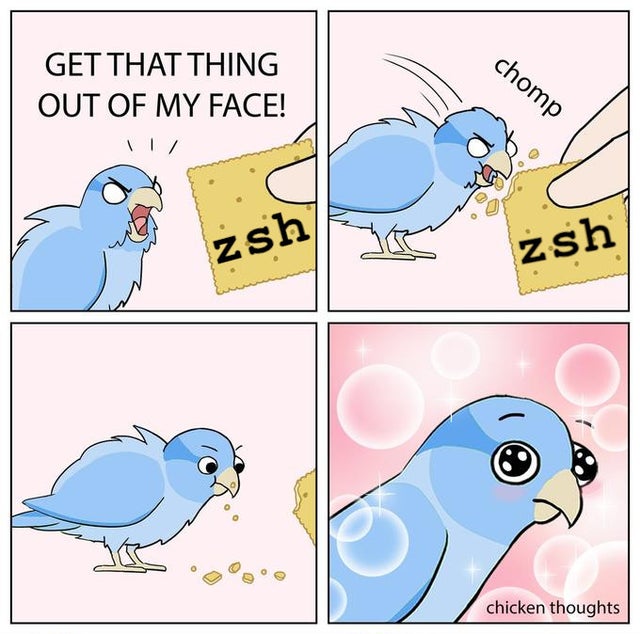 When you log in for the first time and zsh is default instead of bash on your dev server. Based upon <a href="/ChickyThoughts/">Chicken Thoughts</a>