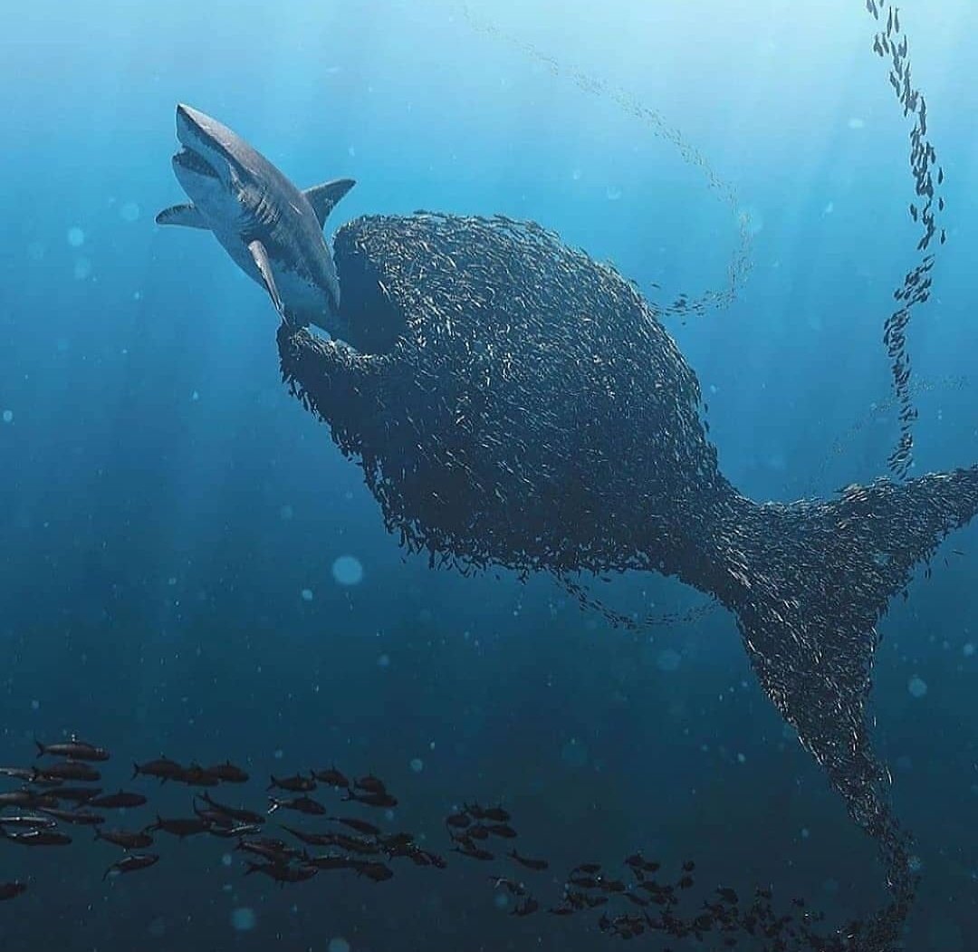 LeaAlMono7's tweet image. Ya se sabe, la unión hace la fuerza. No escatimaremos esfuerzos hasta que se haga justicia con los accionistas de #abengoa. Si eres uno de los afectados únete a @abengoashares. 💪🏻💪🏻

#SalvemosAbengoa