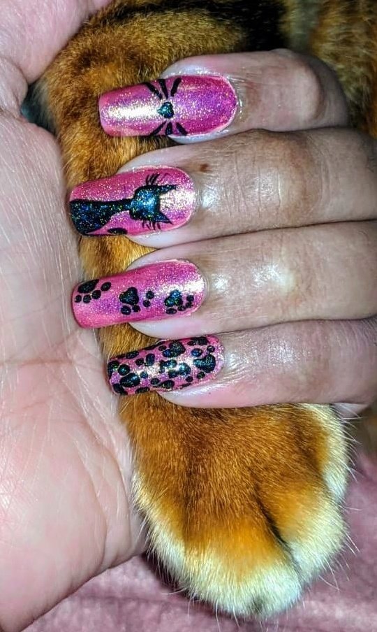 Lagshiga's tweet photo. 🖤Black cat nail art 🖤
#holotacocatsnailart using Linear @holotaco
#holotaco #cats #blackcat #sparkle #sparkles #nailart #nails #whiskers #leopardprint #pinknails #divanails #blackcatnails #sylhouette https://t.co/WeL2fQqOKT
