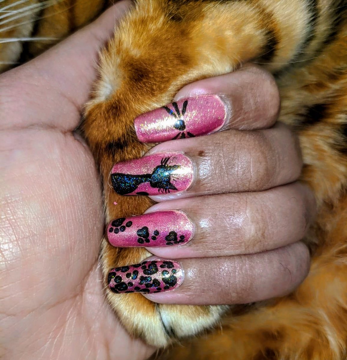 Lagshiga's tweet photo. 🖤Black cat nail art 🖤
#holotacocatsnailart using Linear @holotaco
#holotaco #cats #blackcat #sparkle #sparkles #nailart #nails #whiskers #leopardprint #pinknails #divanails #blackcatnails #sylhouette https://t.co/WeL2fQqOKT