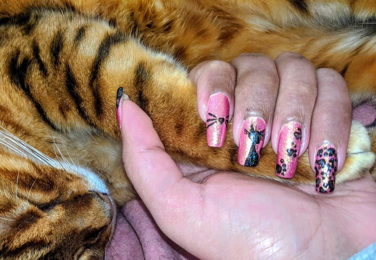 Lagshiga's tweet photo. 🖤Black cat nail art 🖤
#holotacocatsnailart using Linear @holotaco
#holotaco #cats #blackcat #sparkle #sparkles #nailart #nails #whiskers #leopardprint #pinknails #divanails #blackcatnails #sylhouette https://t.co/WeL2fQqOKT