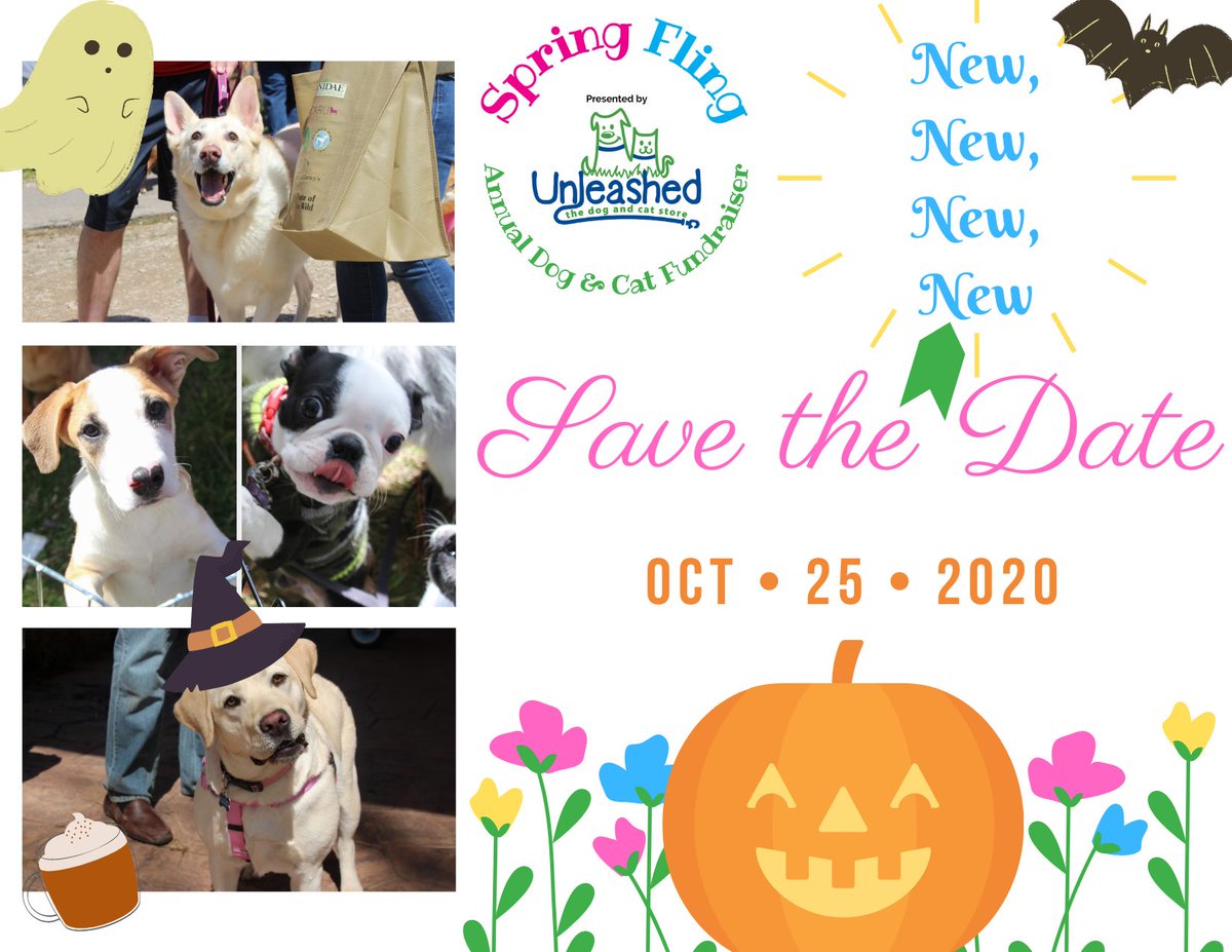 K9SpringFling's tweet photo. We have a new (and final) date for our "Spring" Fling! Join us for a once in a lifetime Fall/Halloween mashup version of our annual Spring Fling dog &amp; cat fundraiser event on Sunday, October 25th! https://t.co/d4ij1zGNp2