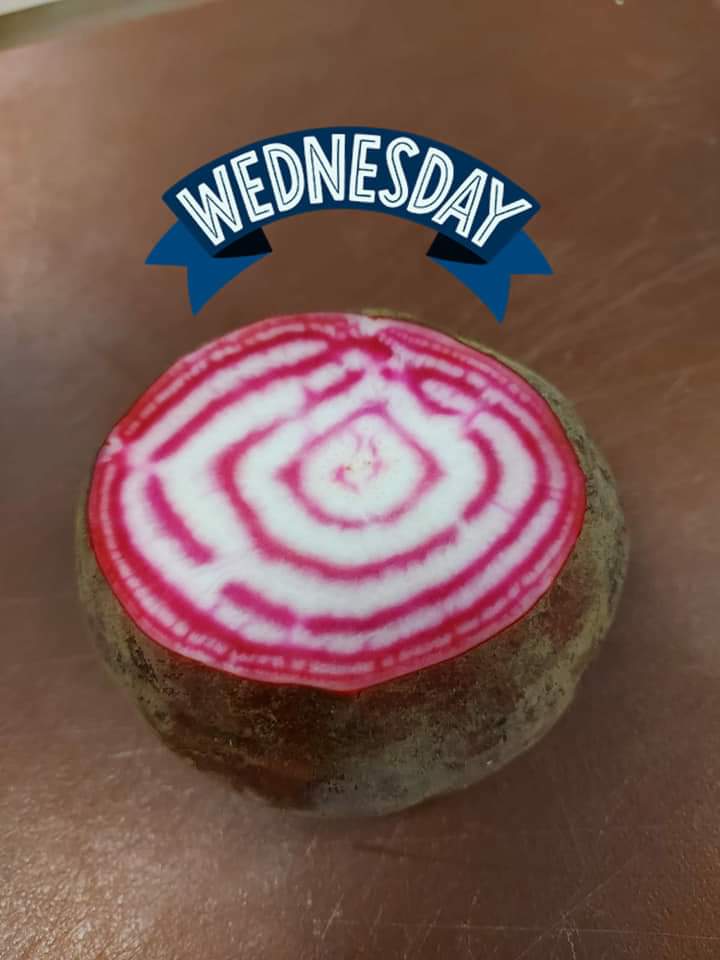 WaterfrontDC's tweet photo. So fabulous to see our Level 3 Chef Diploma @donnycollege students in class today. Straight into larder practical classes. Great to see you all.Fabulous dishes #skills #chefs #WeHaveMissedYou https://t.co/d0WM4pjmsg