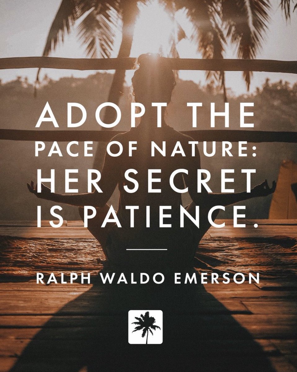 iriecbd's tweet image. Just a friendly reminder to take some things slow in this fast paced world of ours.
In honor of #SelfCareAwarenessMonth, we're giving you 10% off your entire order throughout the month of September to help assist in your self-care discovery. 🌱 #LiveLifeIrie