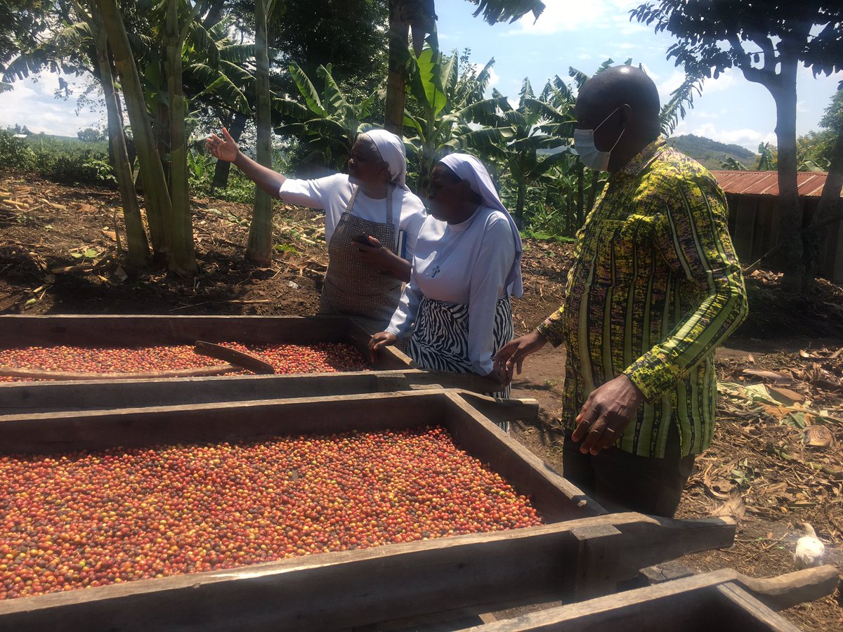 DeusdeditNuwaga's tweet photo. A big Congratulations to both the #IHMR(Gogonya)Sisters In Sunga, Masaka&amp; #Banyatereza Sisters In Fortal, Uganda for the successful accomplishment of the #SBVP Apprenticeship w/ @NUCAFE95 supported by @ACWECA &amp; @MillerSocent to sustain#Congregations &amp; reachout to poor communities https://t.co/8BVm7kjNyG