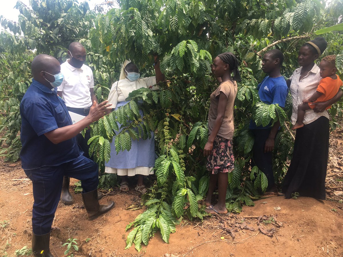 DeusdeditNuwaga's tweet photo. A big Congratulations to both the #IHMR(Gogonya)Sisters In Sunga, Masaka&amp; #Banyatereza Sisters In Fortal, Uganda for the successful accomplishment of the #SBVP Apprenticeship w/ @NUCAFE95 supported by @ACWECA &amp; @MillerSocent to sustain#Congregations &amp; reachout to poor communities https://t.co/8BVm7kjNyG