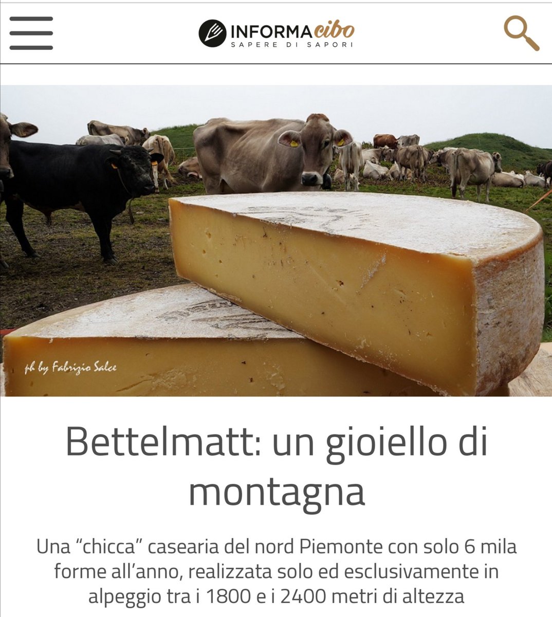 EdTroiano's tweet photo. #Bettelmatt: un gioiello di montagna by Fabrizio Salce
Una “chicca” casearia del nord Piemonte.
Alla scoperta dei gioielli del territorio per partecipare fino #20settembre.
Leggere su #Informacibo:
https://t.co/EtoHGlqtrI
@paoloigna1
@savinovurchio @pino_zuliani @sassi_mario https://t.co/ZhoQEFsEj9