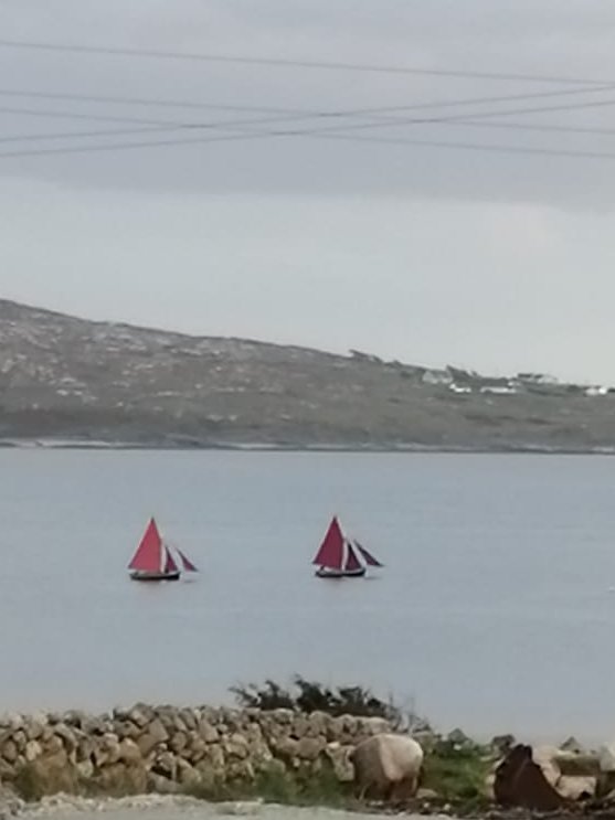 Beannachtaí Féile Naomh Ciarán oraibh ar fad! 🍂🍃🌻