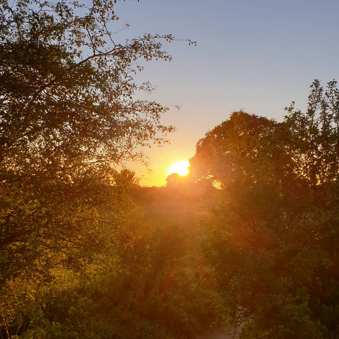 happyk3lly's tweet photo. #sunset #Northamptonshire #Collingtree #Northampton @NNskies @northamptonlove https://t.co/Jc4aNFmKVf