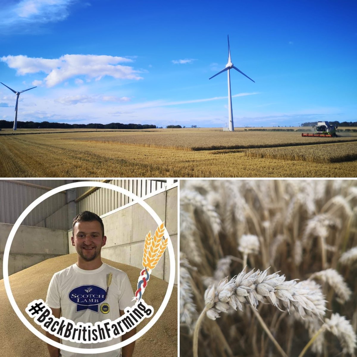 Our vice chairman Ally Brunton has been supporting #backbritishfarming as part of the <a href="/NFUtweets/">National Farmers' Union</a> campaign today. It’s a busy time for farmers just now and great to support this campaign.