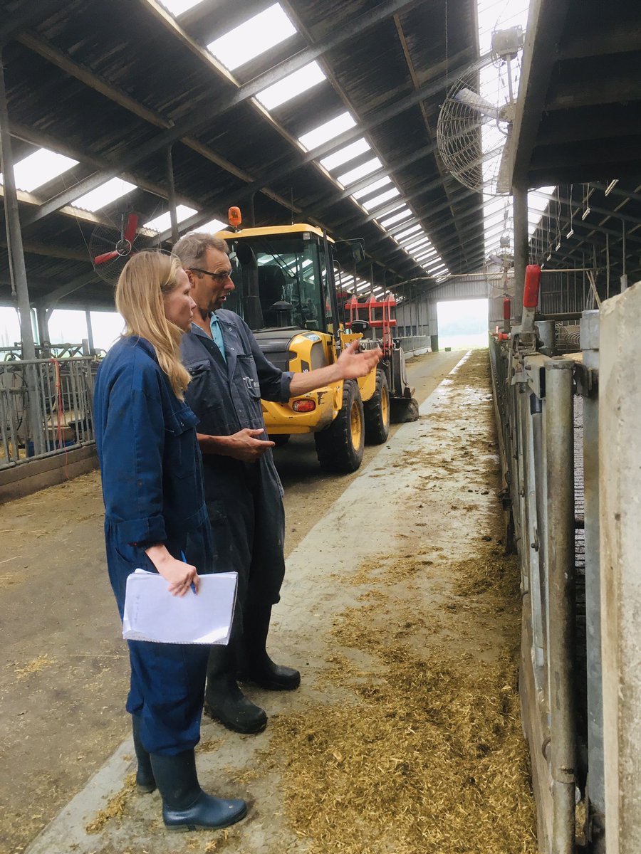bhietberg's tweet photo. Vandaag met enkele gastvrije melkveeveehouders @TheDailyMilk_NL (volgtip ☝️) een inkijkje gegeven in de Drentse melkveehouderij en het werk van de rundvee dierenarts #familiebedrijf #melkvee #dailymilk #melknatuurlijk #kalfok #melkrobot #dierenarts @ProvDrenthe @jjorrien https://t.co/zR2gyqEjeL
