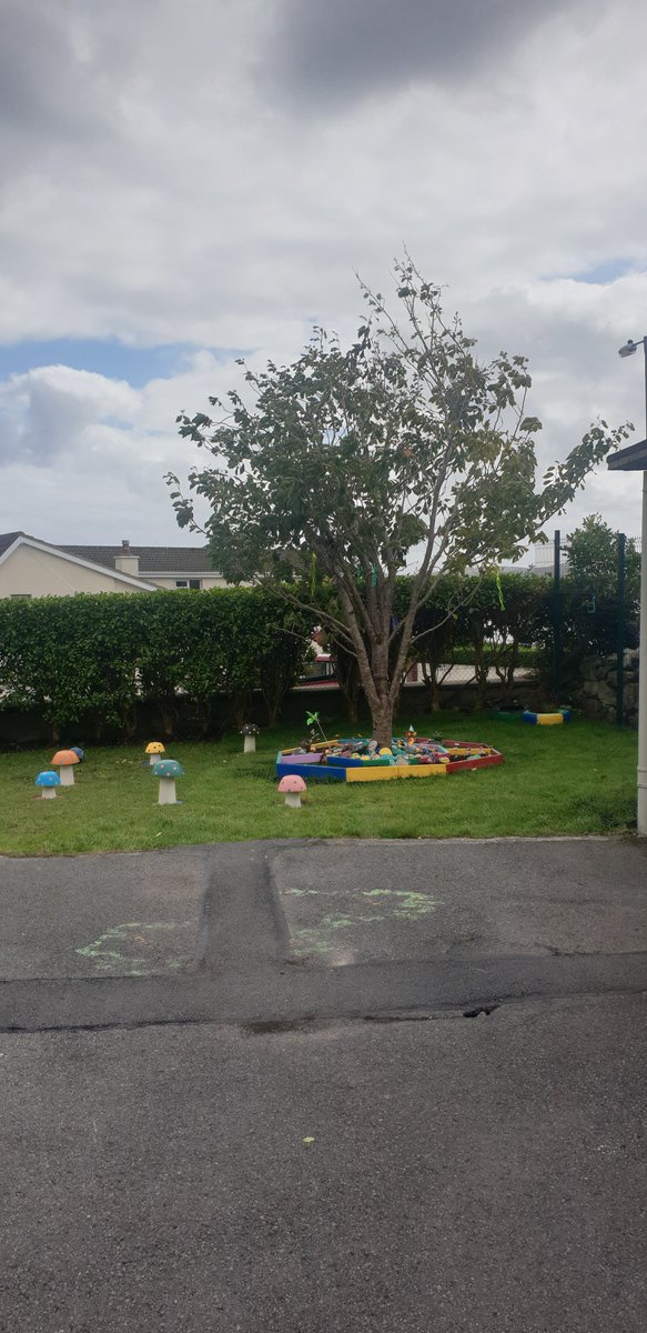 Cuid den obair ghleoite atá déanta i SNC le roinnt seachtainí anuas... nach aoibhinn álainn é! Ar míle buíochas le tuismitheoirí, gasúir agus pobal na scoile 🌠💐