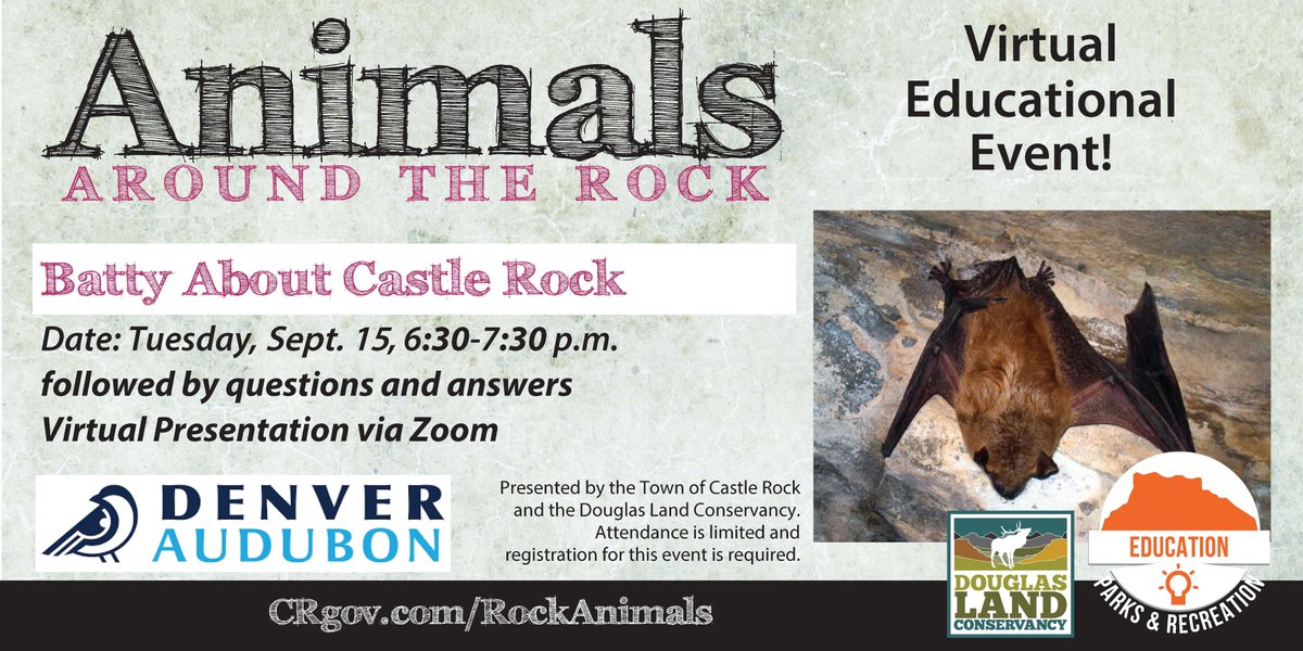 crgov's tweet photo. Did you know that a single little brown bat can catch 600 mosquitoes in just one hour? Learn more about these amazing flying mammals at Batty About Castle Rock. Visit https://t.co/bNoSypm8vF to sign up for this virtual event with @denveraudubon and @DLConservancy! https://t.co/FpVYZNZ1nQ