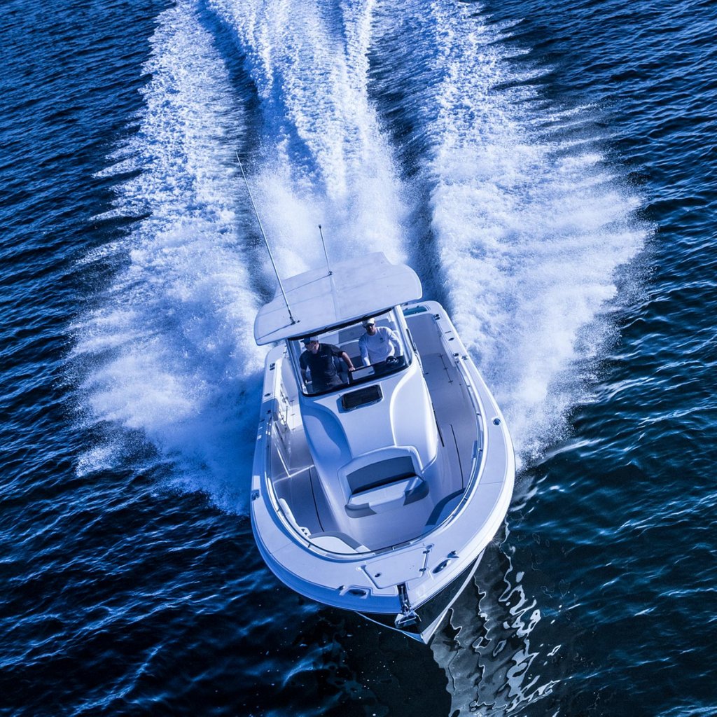 The Sailing Inc. tweet media