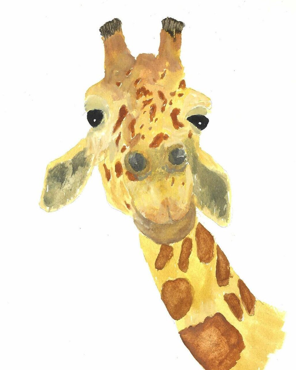 Water for South Sudan tweet media