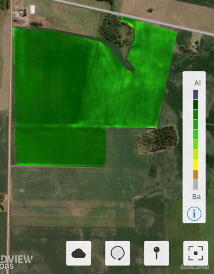 ClaramuntJuan's tweet photo. Un mismo lote ➡️ 2 realidades.      Nada mejor que @FieldViewArg para mostrártelo! 📲 🇺🇾 Imágenes  de Vegetación y Monitoreo para una Cebada con dos historias bien distintas: chacra nueva Vs chacra con 10 años de agric. continua.
Gracias @barriosagus28 por compartir el caso. 🤜🤛 https://t.co/oMkPIRJv0I