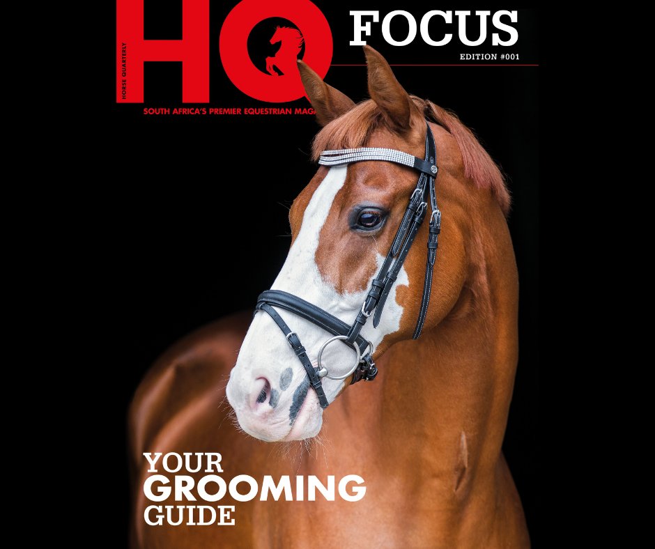 MagazineHq's tweet photo. Check out our new product HQ Focus - FREE for a limited time only! https://t.co/wrE8LgL6xL https://t.co/sLscnrx8kk