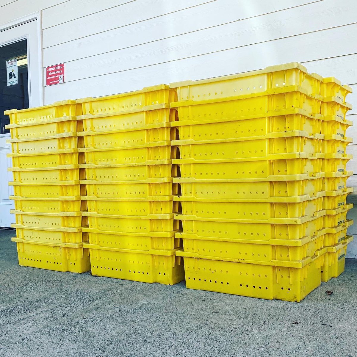 CelebrationsFa2's tweet photo. Everything is in the works in preparation for our very own 2020 Cabernet Franc Harvest, all for our Sapphire Vineyards Wines that will be available exclusive in the tasting room, in the Manor House.  These containers are called “lugs”.  Each lug will hold about 25#’s of grapes.🍇 https://t.co/tlnrYt4CA5