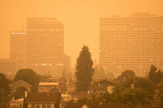 An orange-tinted hazy view of San Francisco with some trees in the foreground and buildings in the background; the sky is a hazy orange.