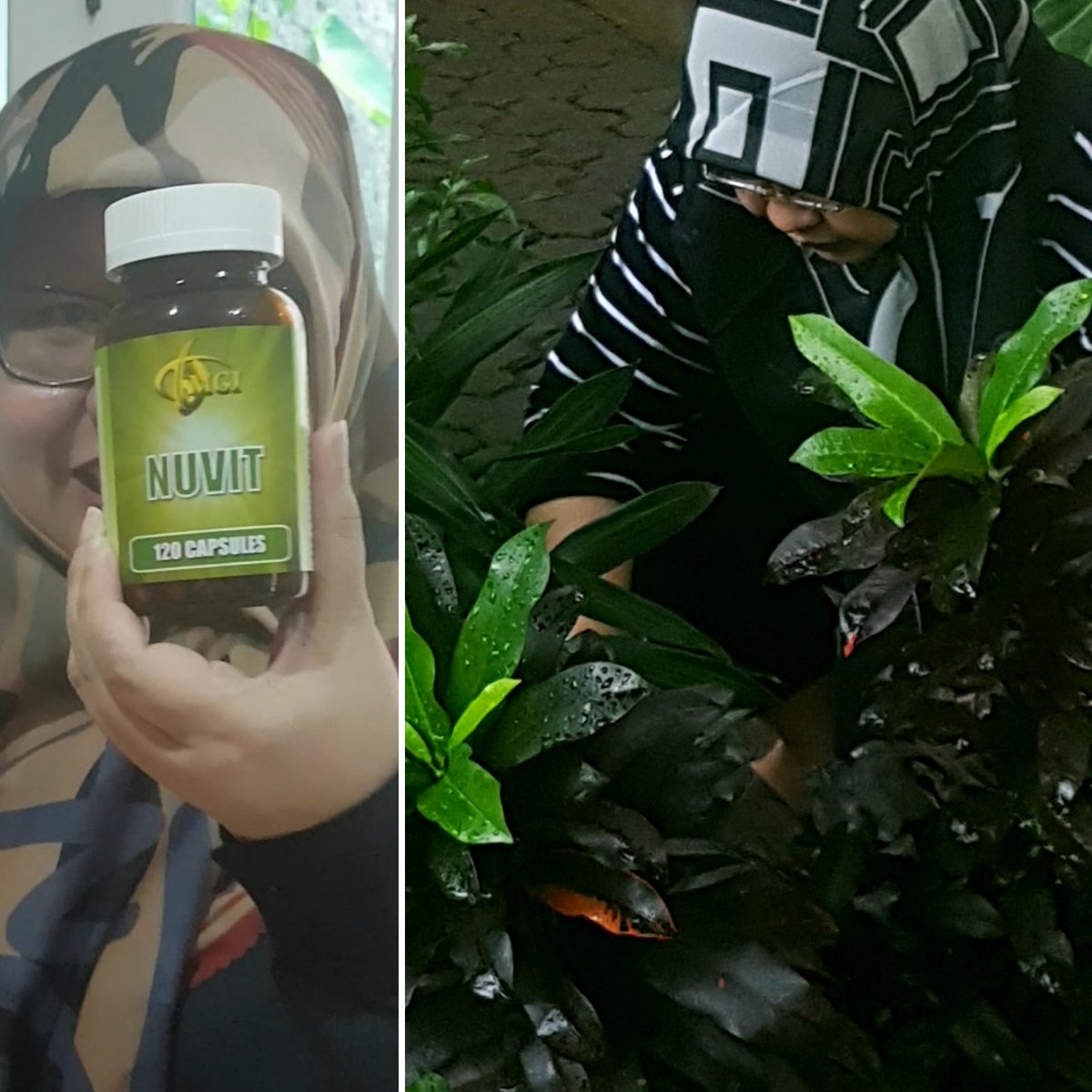 mamarayi's tweet photo. @mrshananto #nuvit &amp; #gardening duooong 💚 https://t.co/n2sOxd1ym6