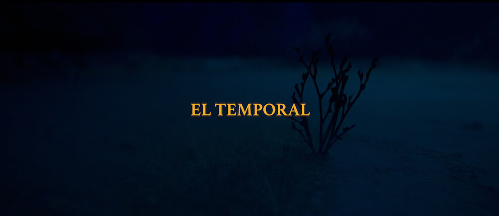 GeiserDiscos's tweet photo. Un mes atrás, nos pasó por encima #ElTemporal de @Franciscaylosex, un canto sincero sobre levantarse de una caída antes que el tiempo sea tirano.
¿Ya lo escucharon?
Acá la opinión de @suenaSPE > https://t.co/is1nJcT9XV https://t.co/rKdcvJwKYx