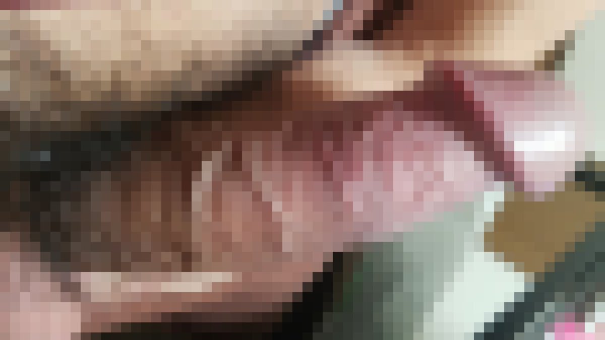 S79939222's tweet photo. #裏垢男子 #裏アカ男子
 #裏アカ女子  #裏垢女子と繋がりたい
 #裏アカ女子と繋がりたい
 #RTした人にブロック覚悟でちんちんDM送りつける
 #いいねした人にブロック覚悟でちんちんDM送りつける 
 #巨根 #デカチン #兵庫 #大阪 https://t.co/G16QXII0yS