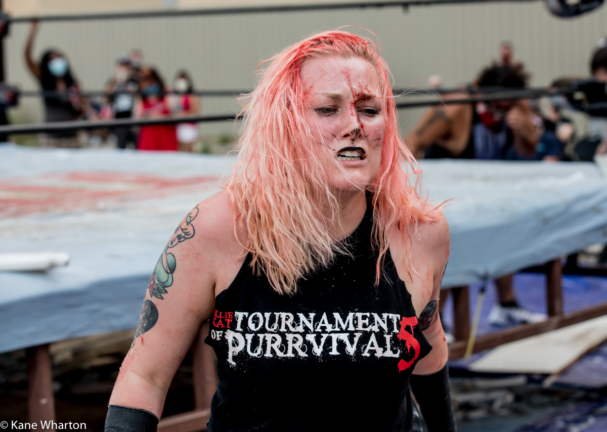 Kane_B13's tweet photo. Candids of wrestlers walking to the back after a #deathmatch. #gcw #tournamentofsurvival. Shlak, Atticus Cogar, Allie Kat, Alex Colon #gcwtos5 https://t.co/TosTZ7U80n