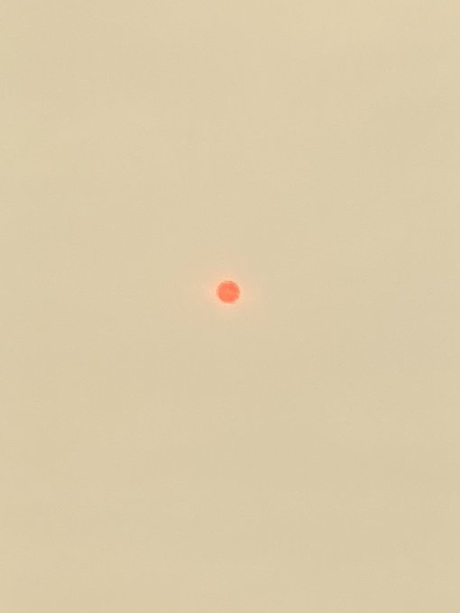 The sun in the sky right now (Davis California) and the ridiculous amount of ash on the ground... from<a href="/tag/funniestvideos"class="tags"><span>#funniestvideos</span></a>