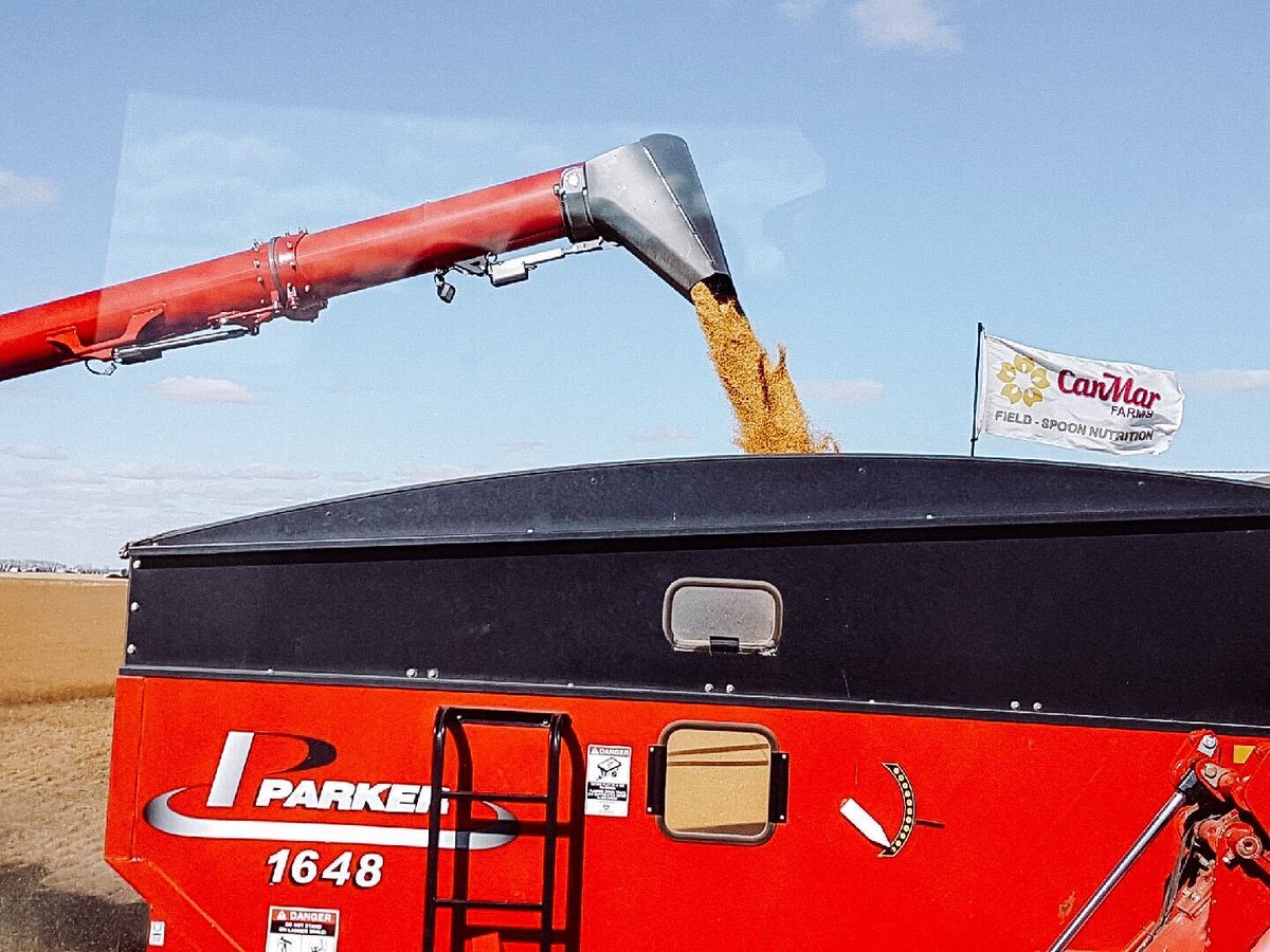 CanMarFoods's tweet photo. Flax, on flax, on flax!
Did you know that CanMar Foods is the largest processor of food grade Flax in North America? #FarmtoSpoon https://t.co/FOPgAu2WEx