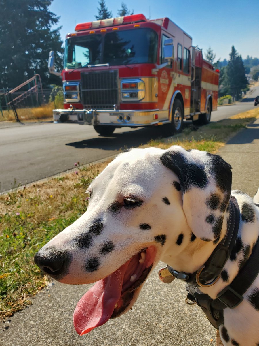 Alexander Peli tweet media