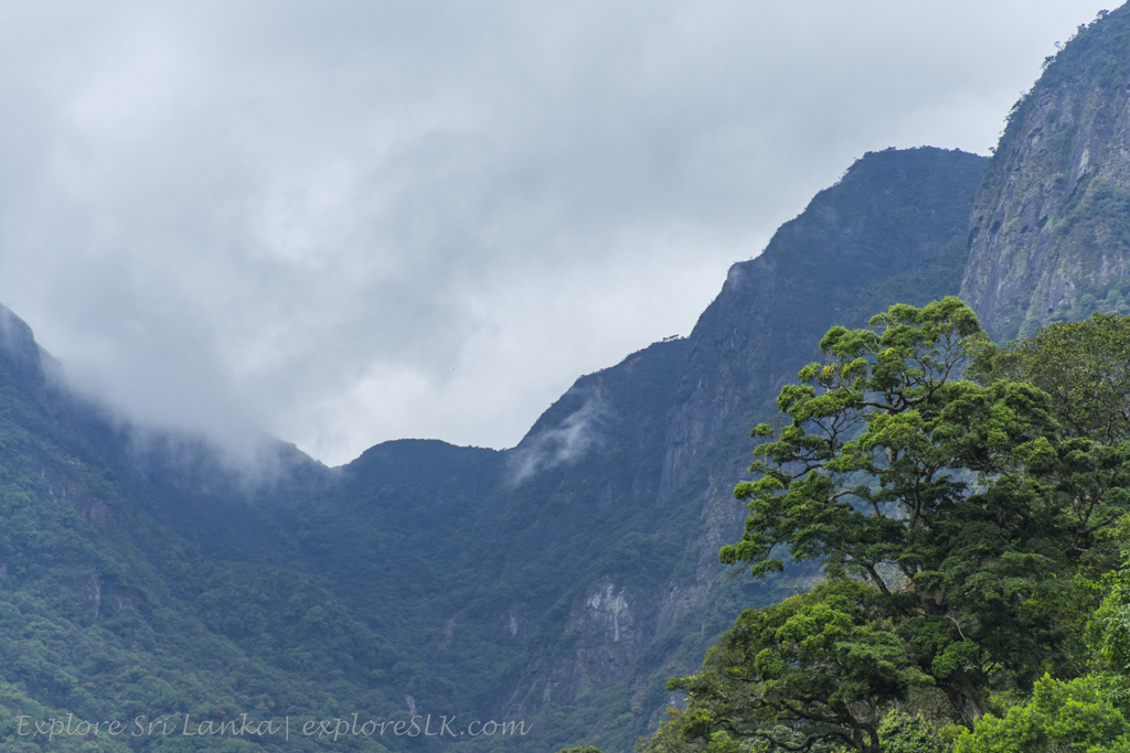 exploreslk's tweet photo. On the way to Kolapathana Falls 

Read the full article here: https://t.co/69dYoFoCT2 https://t.co/ASFk1uHBno