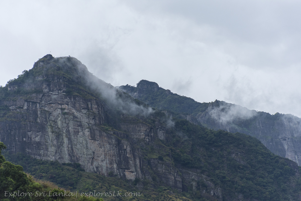 exploreslk's tweet photo. On the way to Kolapathana Falls 

Read the full article here: https://t.co/69dYoFoCT2 https://t.co/WSv0i8ud6Q