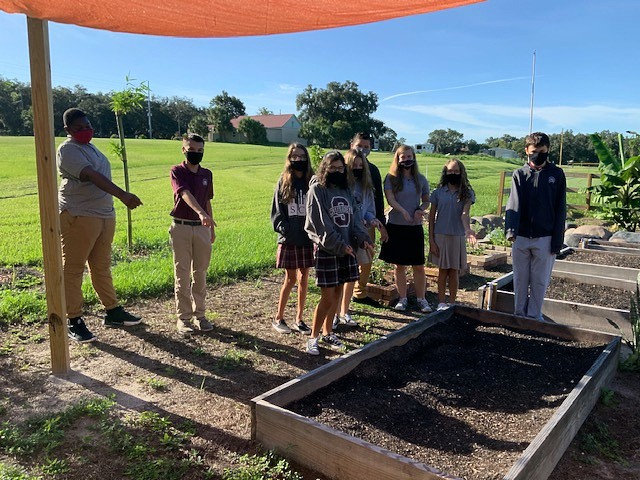 SCACrusaders's tweet photo. Middle School students took the classroom outside last week!  Check out the amazing #HydroponicsGarden we have at #SeffnerChristian.  The outdoor, hands on classroom is a great addition to our campus!
•••
💻 https://t.co/GOWv5uHYlU
#VisitSCA #SeffnerChristian #GoSaders https://t.co/DitIzMQn01