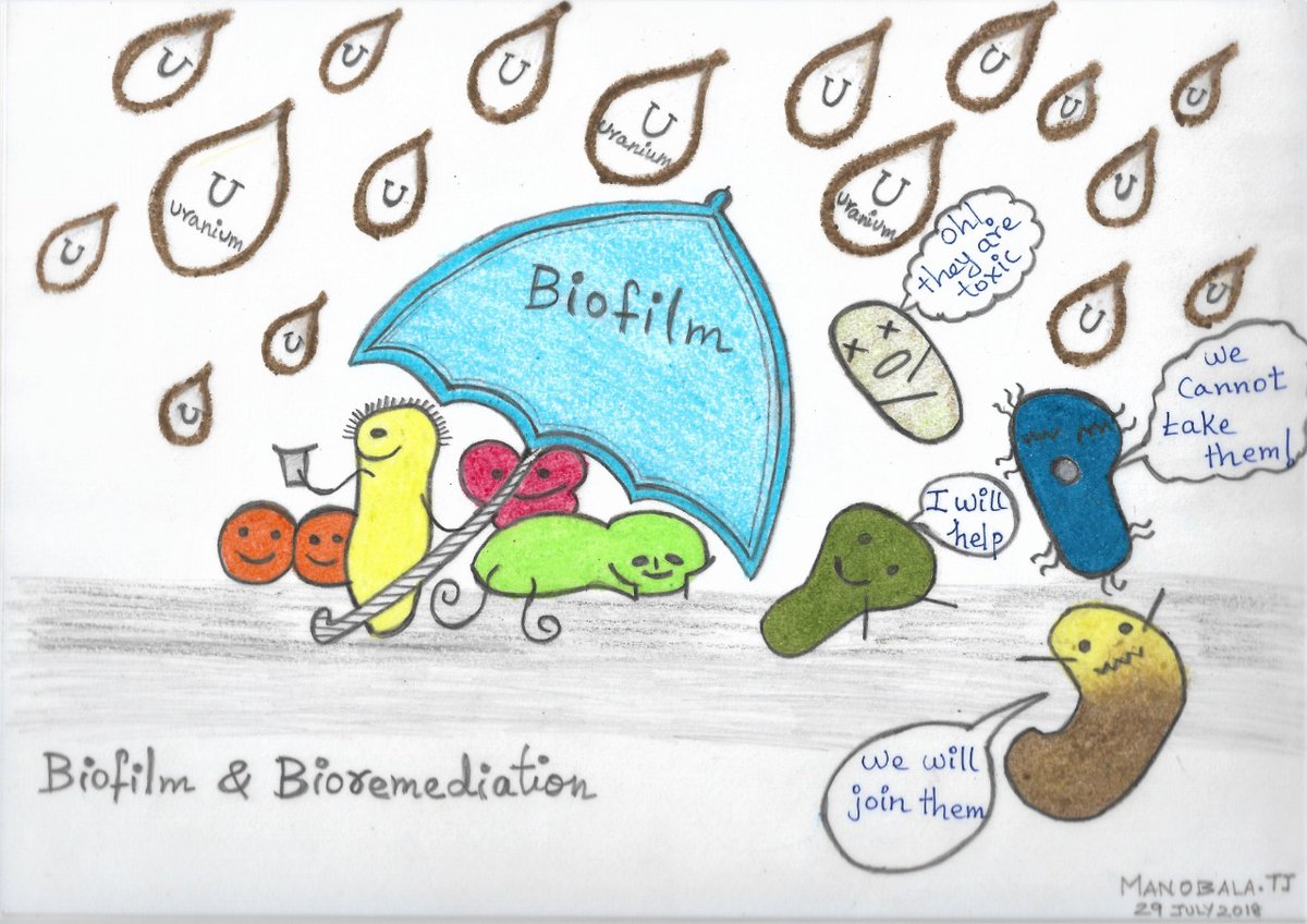 Dr_Manobala's tweet image. @FEMSmicro 
Contribution for the art competition #MicrobeArt2020 #InternationalMicroorganismDay 
A hand drawn oil pastels art showing how a biofilm(living in group)is beneficial over planktonic cells(free living)in tolerating harsh environments(Pic showing treatment with uranium)