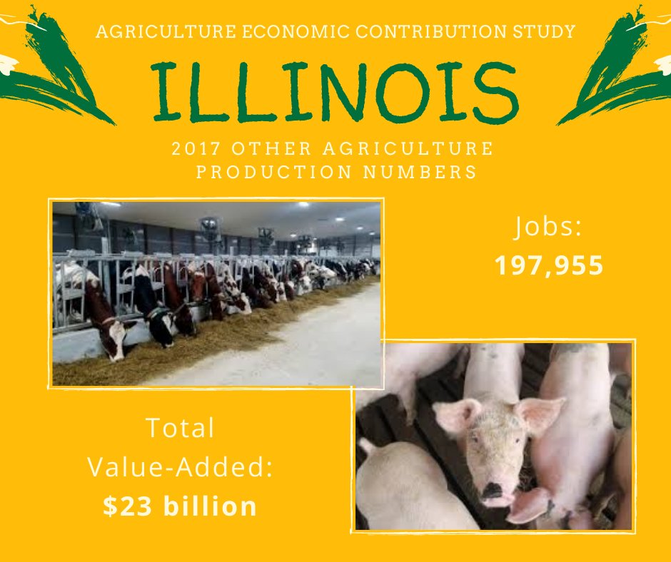 This week's Illinois Agriculture Economic Contribution Study focus: Other Agriculture Production!

#DISInsights #agriculture #economicimpact

ow.ly/DYEW50B0MoX